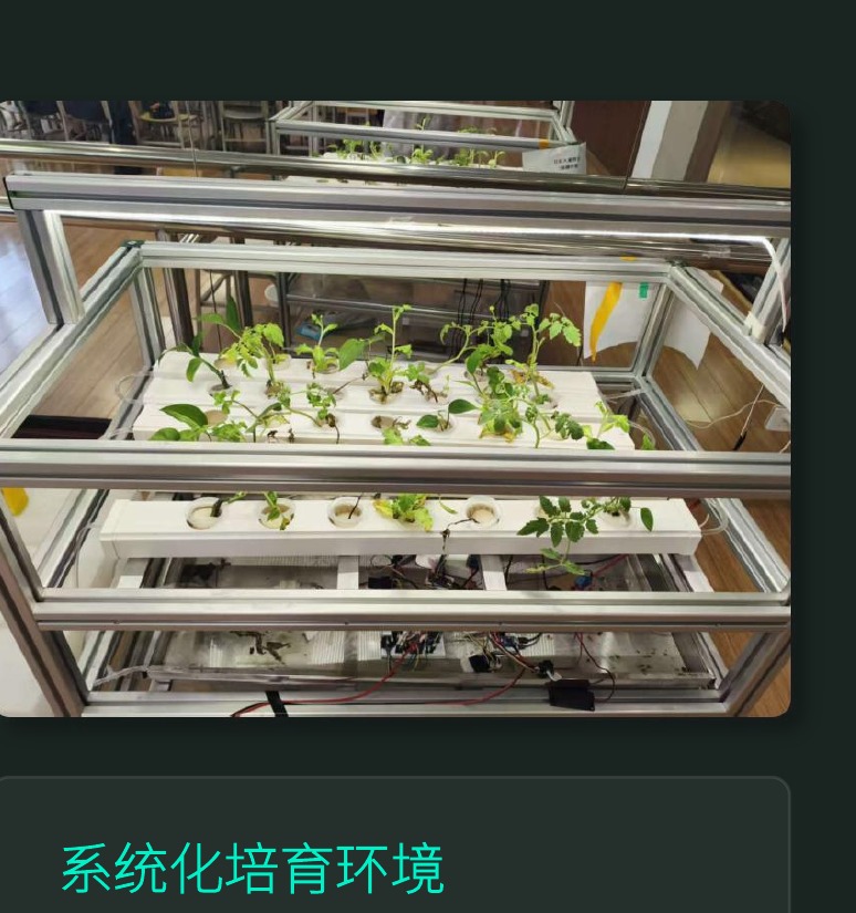 无土栽培制作·生命支持