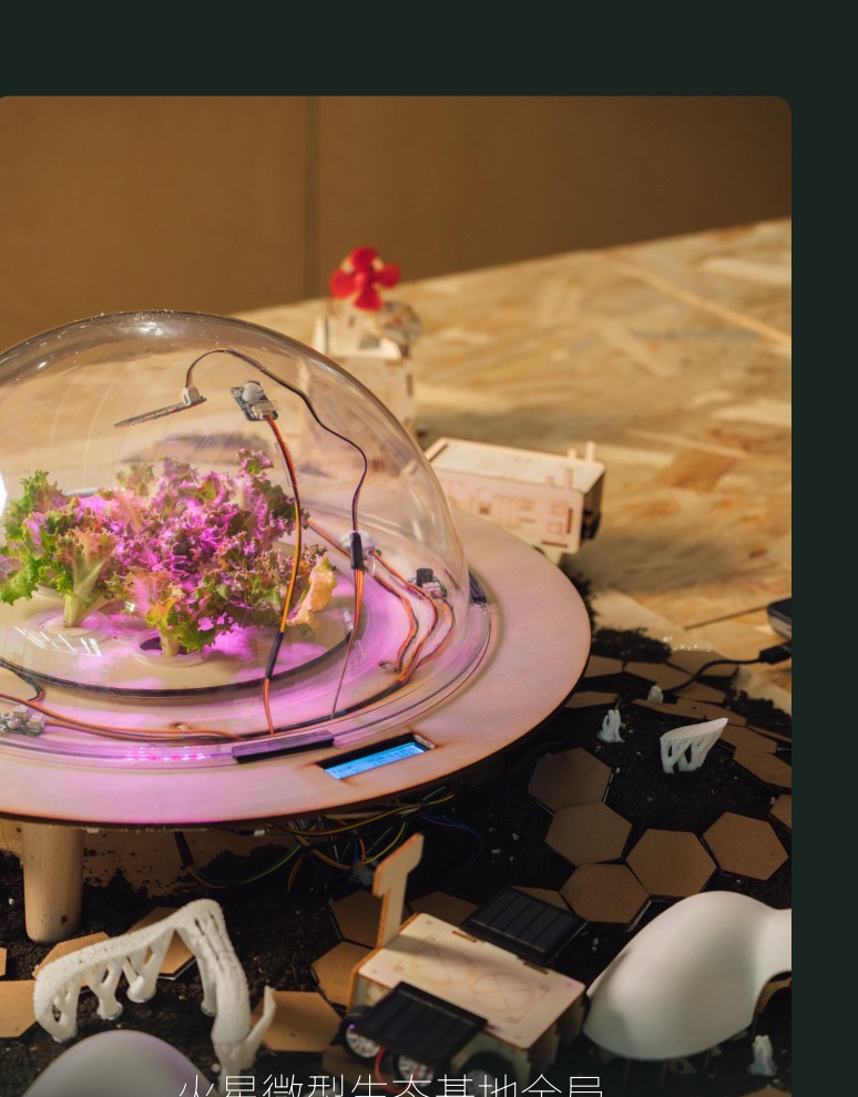 展示传播与反思·路演