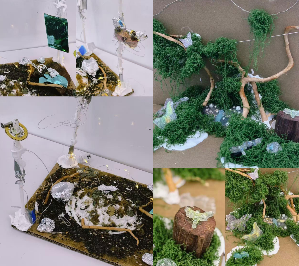 生态装置作品展示