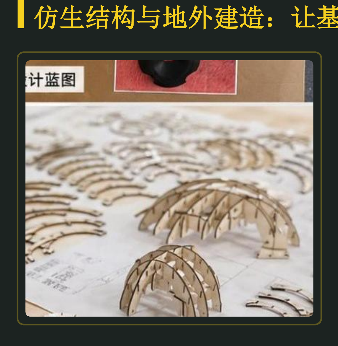 仿生结构研究·抗压测试