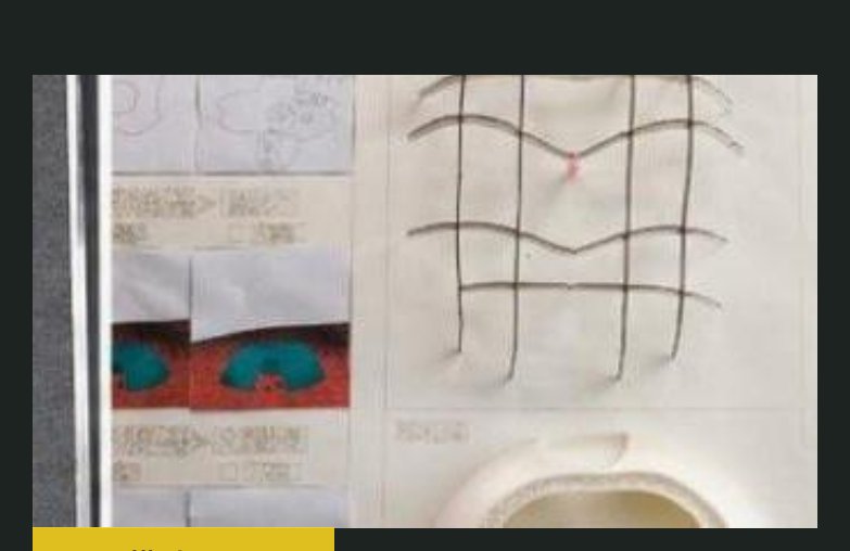 气候响应与数字孪生