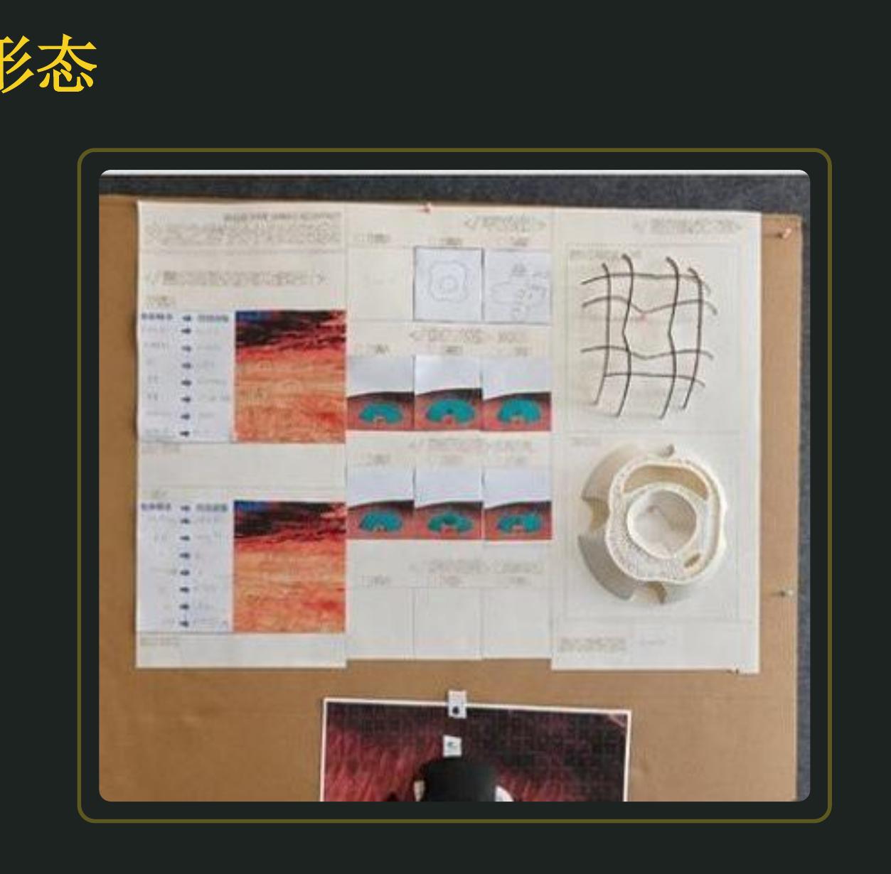 生存需求定义·BLSS